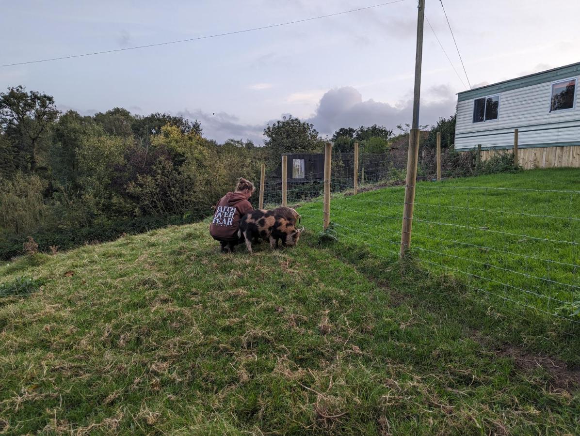 فيلا The Piggery Witheridge المظهر الخارجي الصورة
